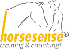 horsesense training & coaching